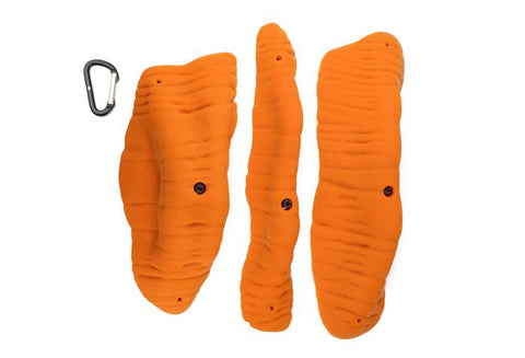 Brachiopods 3XL B