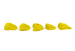 Trilobites LG - side view