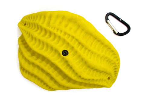Trilobites Feature