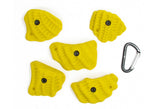 Trilobites LG - top view
