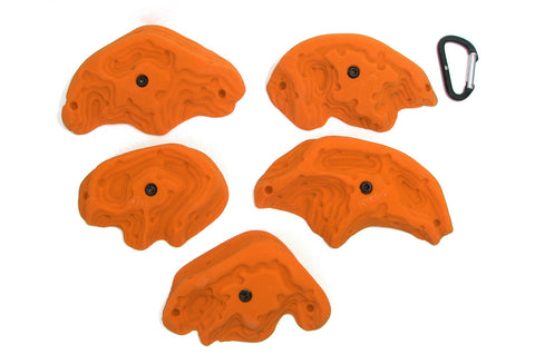Terrestrials XL