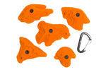 Terrestrials LG - top view