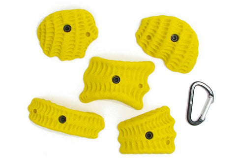 Trilobites XL A