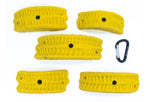 Trilobites XL B - top view