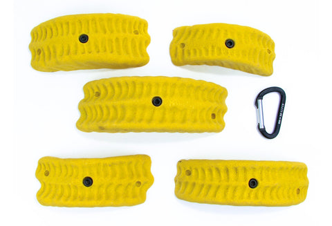 Trilobites XL B