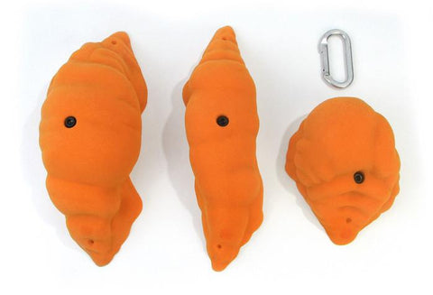 Gastropods 3XL B