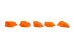Terrestrials XL - side view