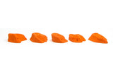 Terrestrials XL - side view