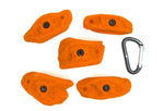 Terrestrials MD - top view