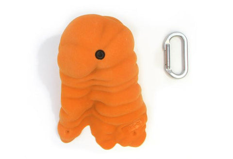 Gastropods 3XL A