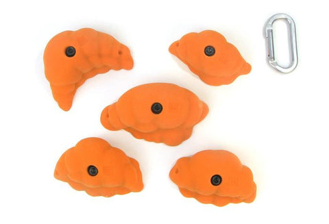 Gastropods LG