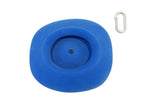 Guppies Feature - top view