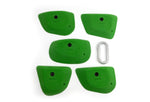 Diatoms LG - top view