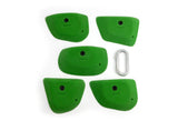 Diatoms LG - top view