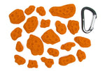 Terrestrials Feet - top view