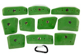Diatom Incuts LG A - top view