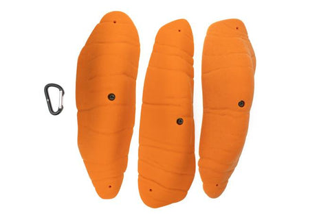 Brachiopods 3XL A