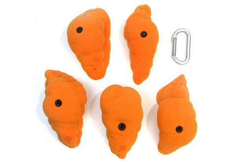 Gastropods XL A