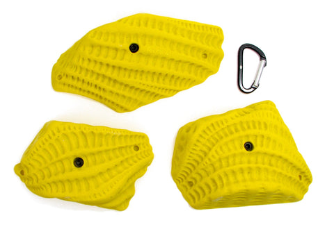 Trilobites 3XL
