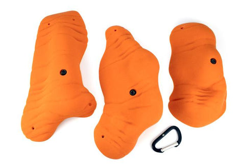 Brachiopods 3XL C