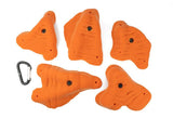 Brachiopods XL C - side view