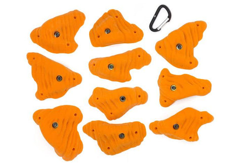 Brachiopods LG A